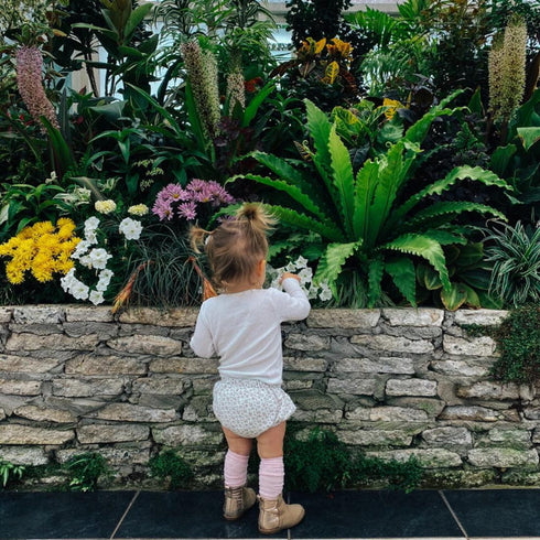 Lamington New Born Merino Wool Socks Dalia Pink