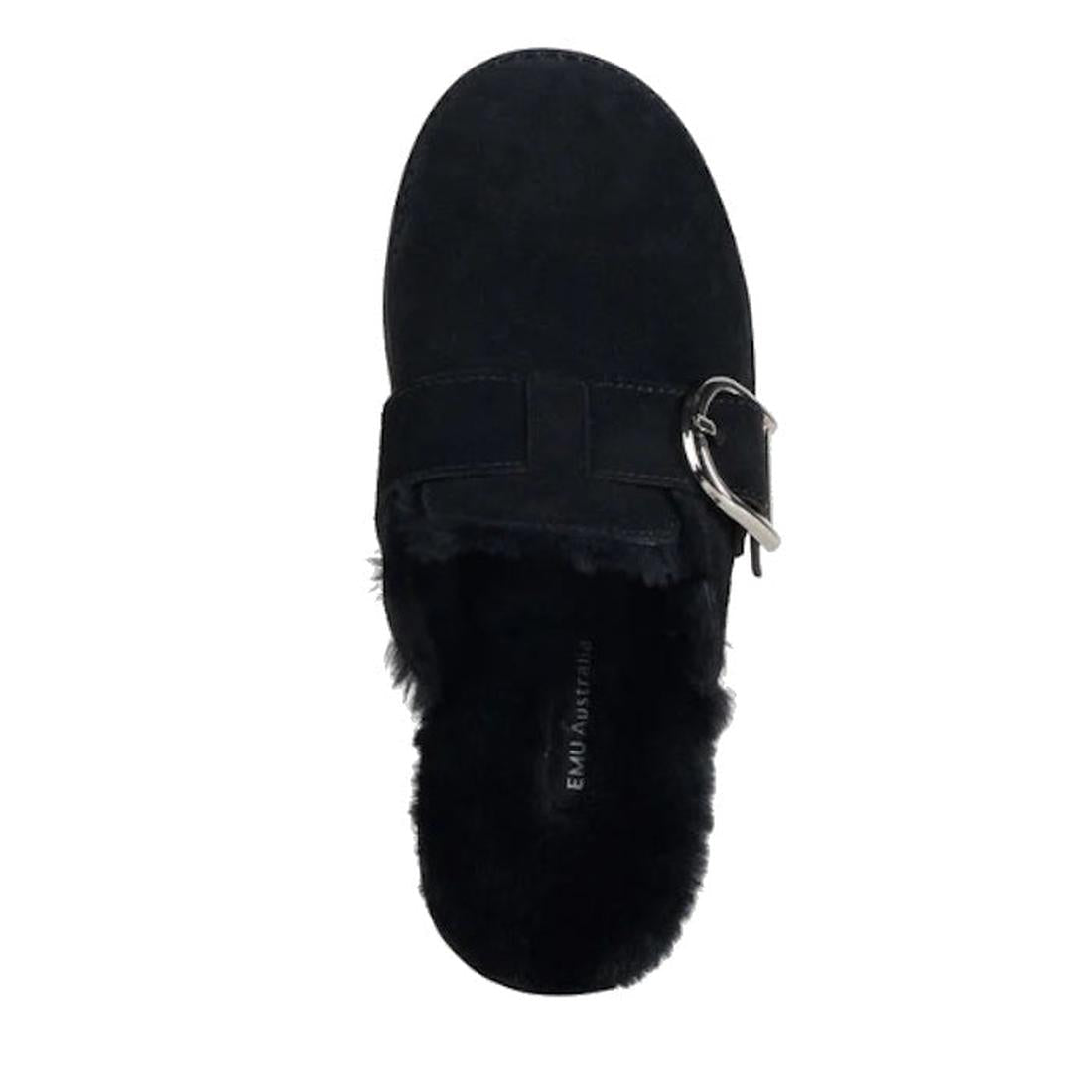 Top view of the Emu Womens Adison Black Sheepskin Wool Mule Slipper Scuff featuring a black suede upper, large silver buckle, soft sheepskin lining, rounded toe, and visible EMU Australia branding inside., 50710, 9330071990797, 9330071990803, 933007199081