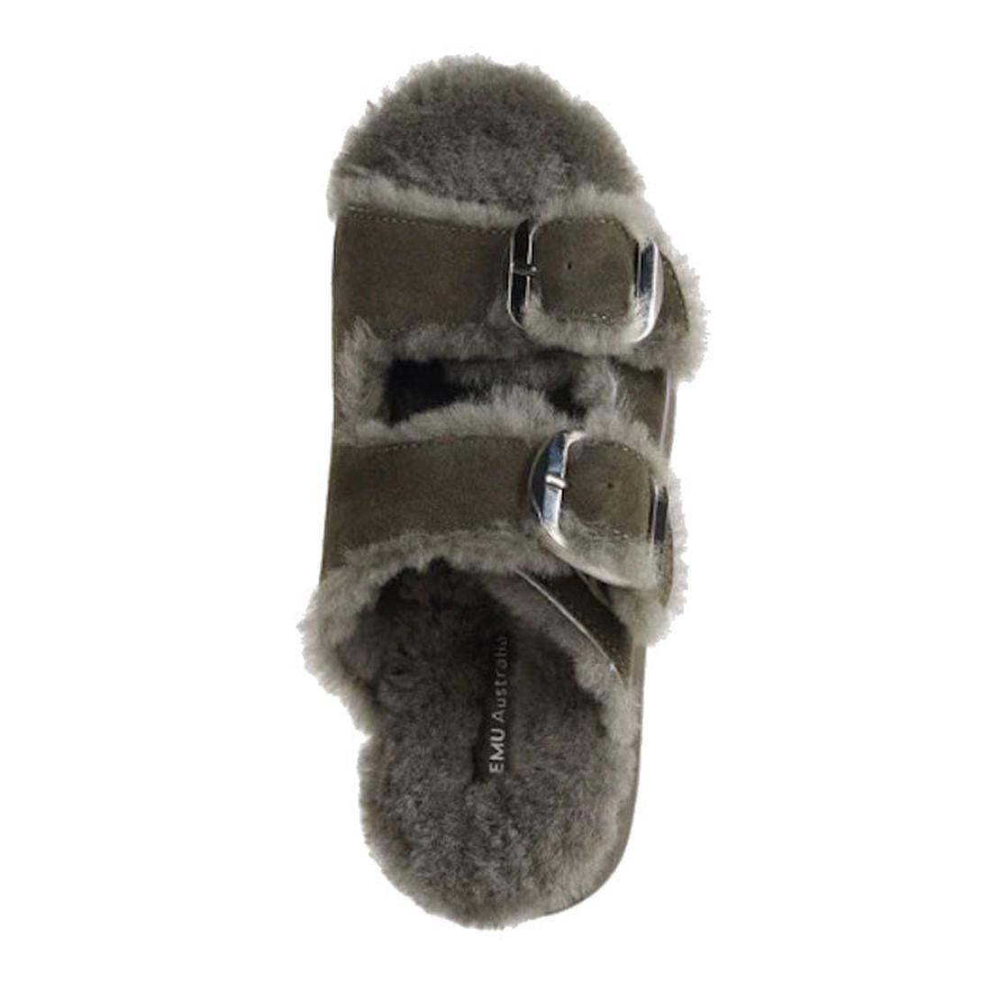 A single Emu Womens Cabello Dark Olive sheepskin wool slipper slide with two silver buckles, fluffy grey shearling lining, and a branded EMU Australia insole, viewed from above., 50698, 9330071990681, 9330071990698, 9330071990704, 50702, 50703