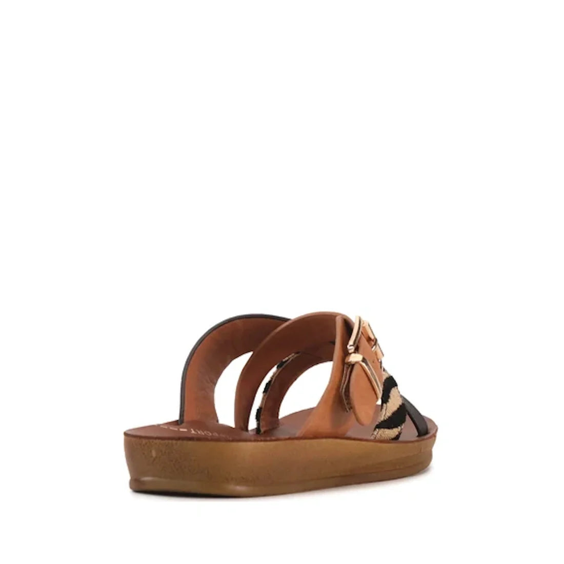 A Los Cabos Brik Black Brandy Zebra Women’s Slide Sandal with two wide straps and a gold buckle, featuring an anatomical footbed for added comfort, viewed from the back at a slight angle on a white background.