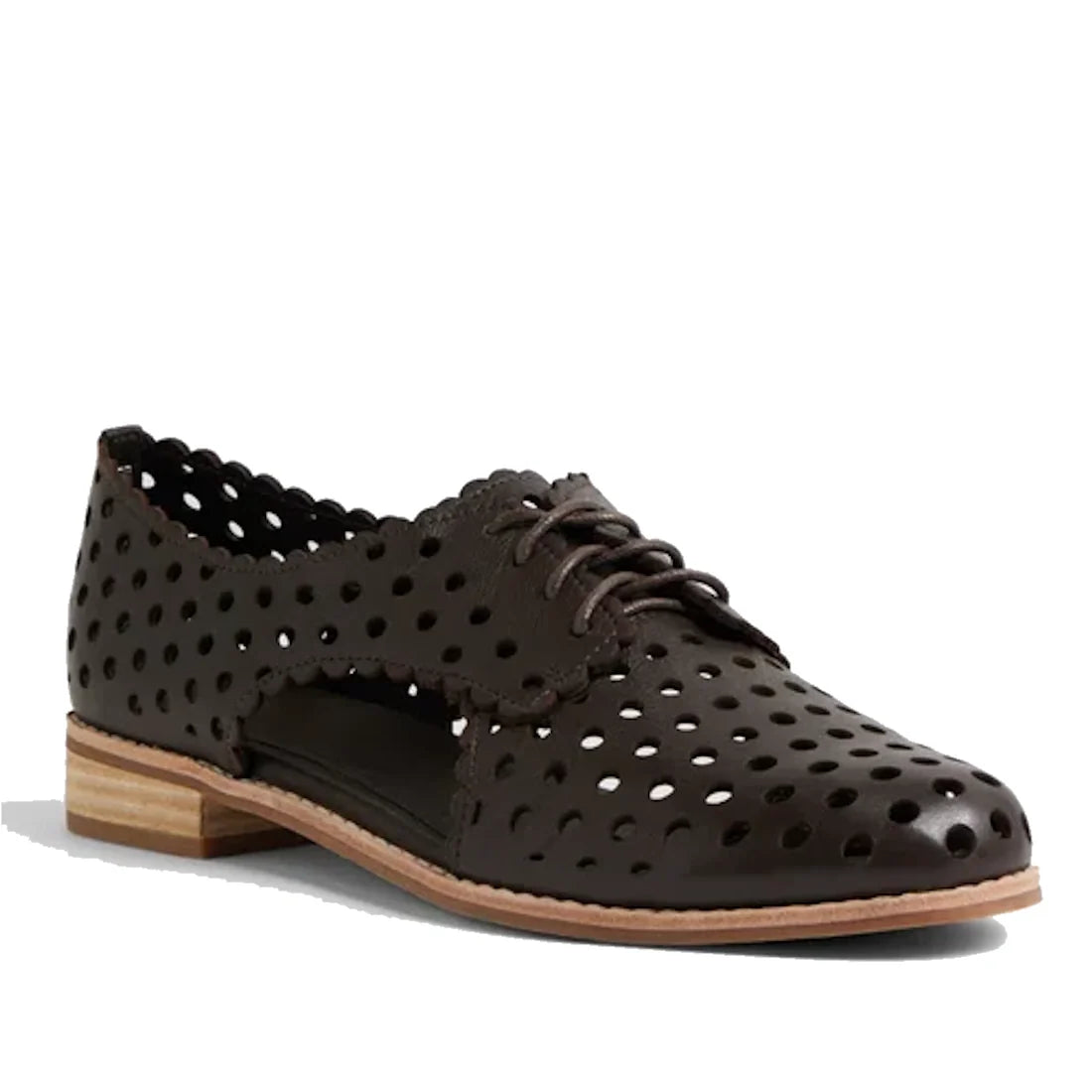 Introducing the Django & Juliette Adalina Leather Womens Cut Out Brogues Summer Shoes in Chocolate Brown—a stylish women’s lace-up shoe crafted from premium leather, featuring laser-cut polka dot holes throughout for a breathable and casual design. Scallo