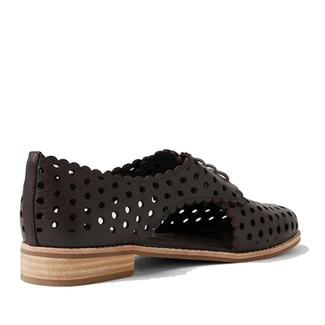 The Django & Juliette Adalina Leather Women’s Cut Out Brogues in Chocolate Brown feature laser-cut scalloped edges, a low stacked heel, and stylish side cutouts. These breathable summer shoes are displayed from a back side angle against a white background