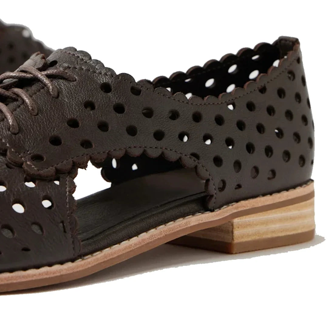 Close-up of the Django & Juliette Adalina Leather Women’s Cut Out Brogues Summer Shoes in Chocolate Brown—a dark brown leather lace-up shoe with scalloped edges, round perforations, and a low stacked wooden heel. Expertly crafted from breathable leather, 