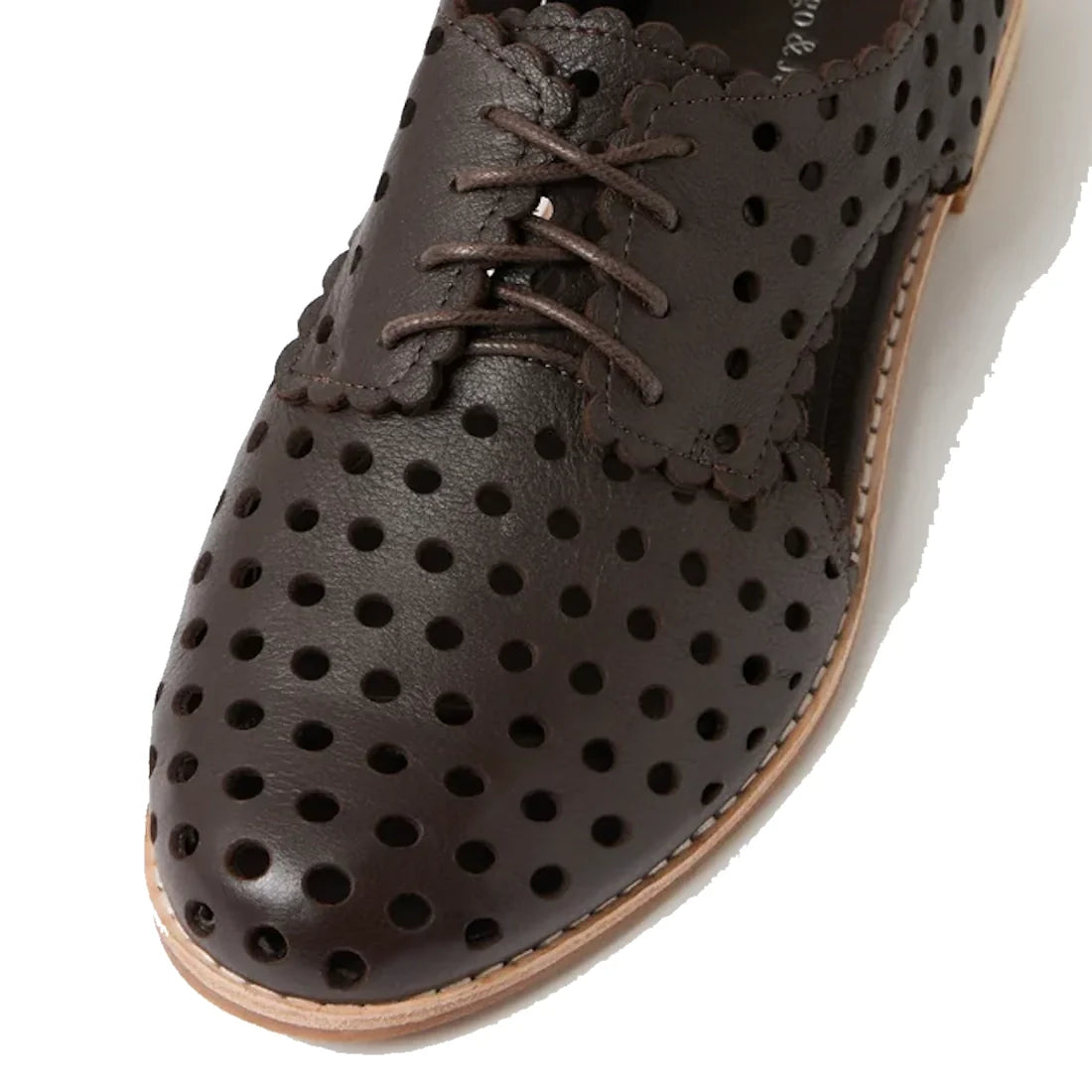 A close-up of the Django & Juliette Adalina Leather Womens Cut Out Brogues Summer Shoes in chocolate brown showcases decorative perforations, scalloped edges, and matching brown laces. Featuring a light-colored sole and a classic brogue design, these shoe