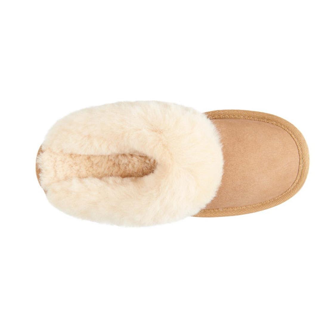 EMU NZ Women's Eden Platinum Sheepskin Scuff Slipper in chestnut, with soft suede upper, plush cream lining, easy slip-on fit, and sturdy sole.  ksnz