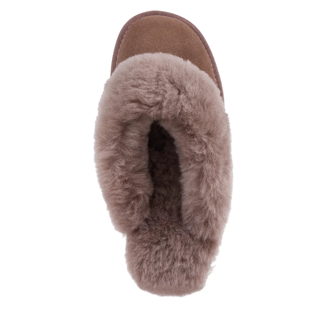 Top view of the EMU Women's Jolie Mocha Slipper Scuff, featuring soft suede and plush sheepskin lining—these cozy Australian slippers offer comfort for both indoor and outdoor wear., 51650, 9330071975503, 9330071975510, 9330071975527, 9330071975534, 51655