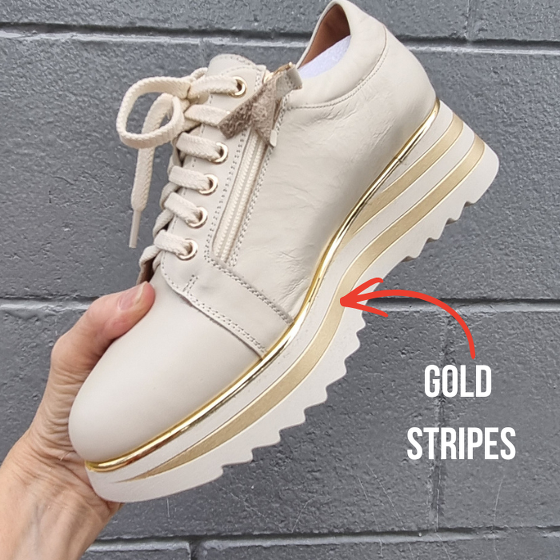 A hand holds an Alfie & Evie Hosting Womens Leather Shoe Platform Cream/Gold, showing cream leather with gold-striped platform, next to “GOLD STRIPES” and a red arrow. The background features a gray brick wall.