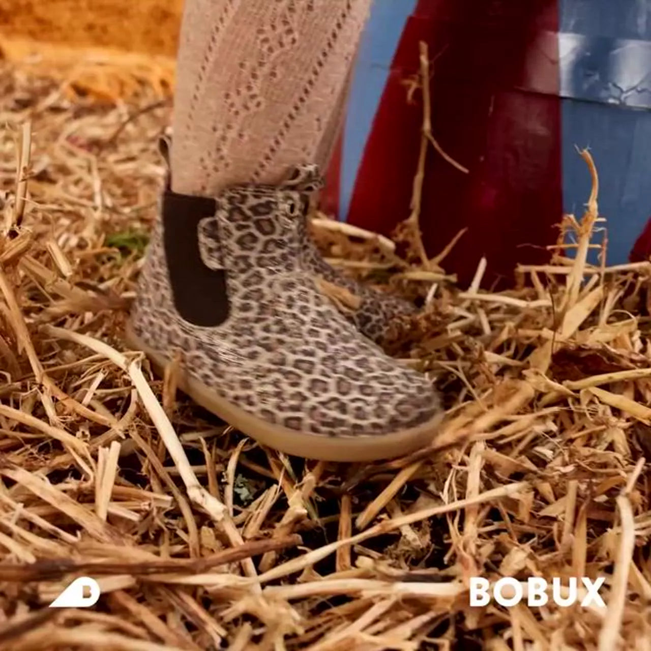 videowise-widget-69bc66be9fd9fef0b15066f6-9351986348276